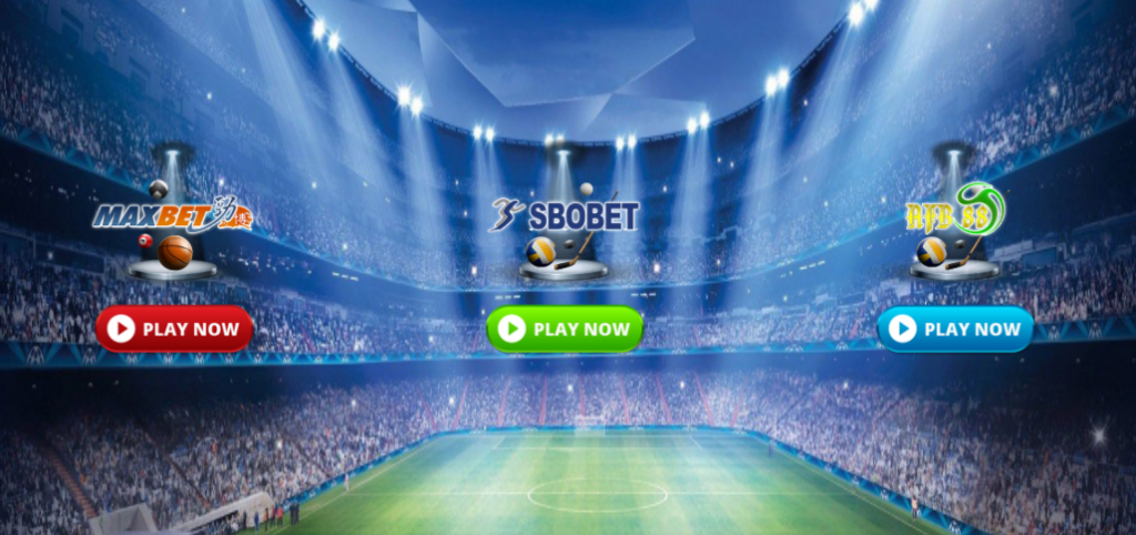 lynsbobet sport